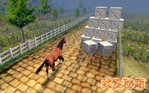 训练马匹模拟器图1