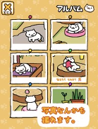 收集猫猫图3