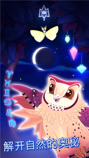 彩翼之星夜图3
