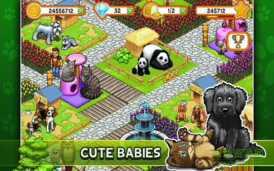 迷你宠物图2