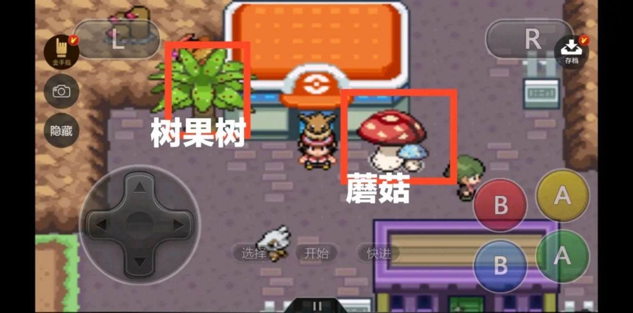 口袋妖怪赤之篇章1.54汉化版图2