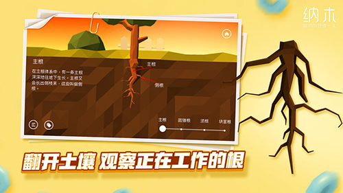 纳木测试版图5