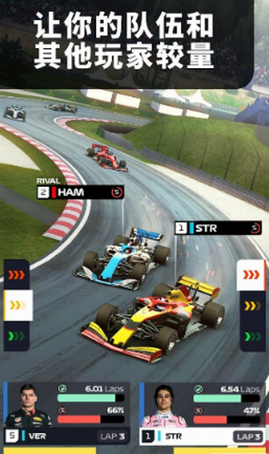 F1赛车经理图5