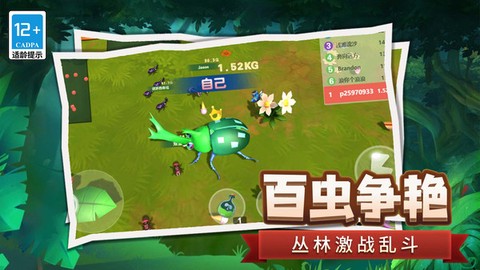昆虫日记图3