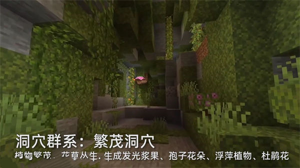 我的世界哥斯拉图2