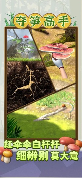 夺笋高手图3