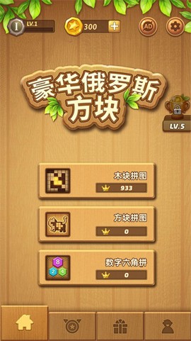 俄罗斯方块最新版图2