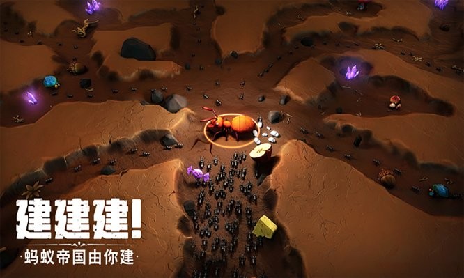 蚂蚁窝模拟器图1