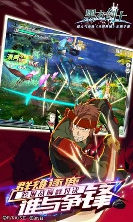 刀剑神域黑衣剑士图1