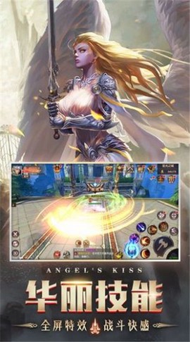 白金汉斯图2