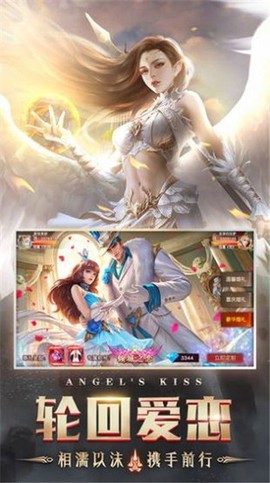 白金汉斯图1