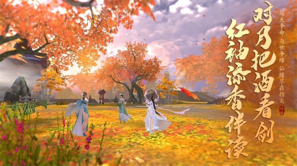 剑影风云录图2