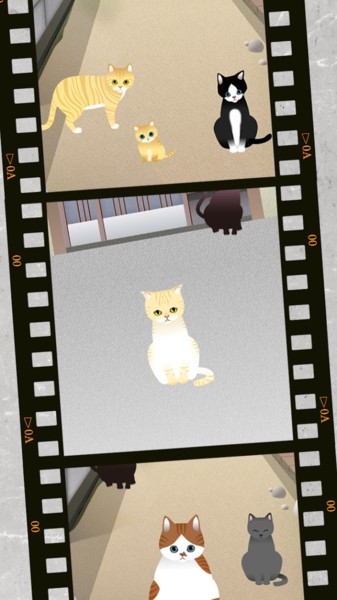 可爱猫咪满满2图1