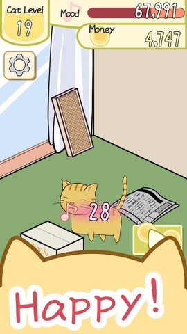 米罗猫咪图1