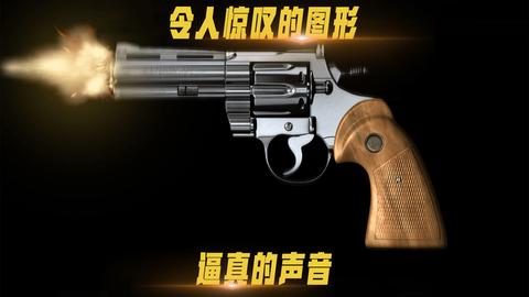 模拟真实武器大全图2