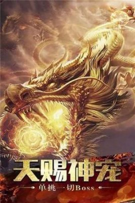 华叔传奇图3