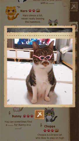 猫咪的秘密森林图3