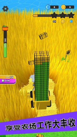 爸爸的农家院图2