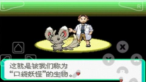 口袋妖怪漆黑的魅影安卓版图2