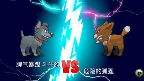 变异汪星人2图2