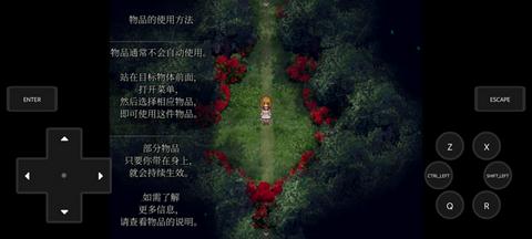 魔女之家重制版图1