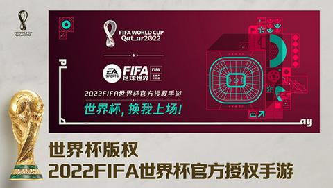 FIFA足球世界国际服图3