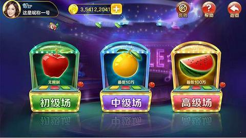 单机版水果机图2