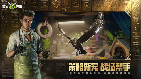 萤火突击图5